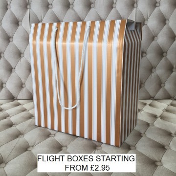 Flight Box Gold and White